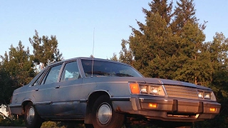 Meet the 1983 Ford LTD