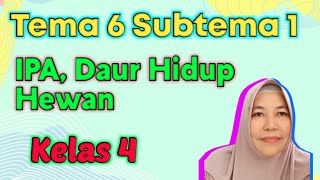 IPA, Tema 6 Subtema 1, Daur Hidup Hewan, Kelas 4 MI Miftahul Akhlaqiyah