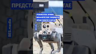 🤖Робоволки: армию механических хищников представили в Китае