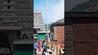 tiruvannamalai திருவண்ணாமலை #trending #tamil #love #shorts