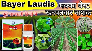 Bayer Laudis Harbicide | Makka me best kharpatwar nashak | मक्का में कौन सी खरपतवार नाशक दवाई डालें