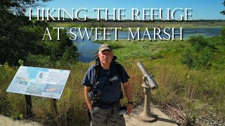 Hiking Around The Refuge at Sweet Marsh - Using a Drone Instead of a GoPro