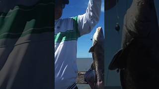 muy linda pesca de pejerrey y burriquetas en El balneario Los Pocitos!!!!partido de Patagones