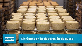 Atlas Copco | Gases | Capítulo 8 | Nitrógeno en la elaboración de queso