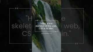 HTML is the skeleton of the web,CSS is its skin #motivation #music #nature #love #relaxing #htmlcss