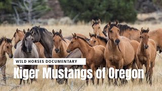 Kiger Mustangs of Oregon | Wild Horses Documentary #secretanimals @secret_animals