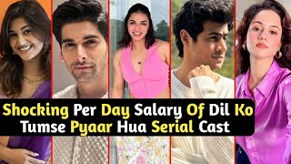 Shocking Per Day Salary Of Dil Ko Tumse Pyaar Hua Serial Cast | Dipika | Chirag | TM