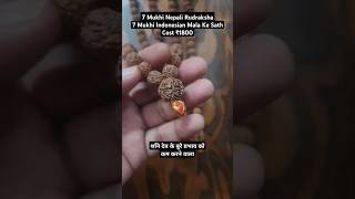 7 Mukhi Rudraksha Mala #7mukhirudraksha #7mukhi #rudraksha