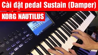 Hướng dẫn KORG NAUTILUS - Cài đặt pedal Sustain (Damper).