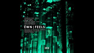 ÉWN - Feels (Extended Mix) [NCS Release]