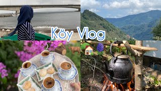 🏡Köy Günlüklerim☕️Teyzoşumda Kahve🫛Fasulye Diblesi Yapıyorum🥰Merkezi Geziyoruz  #vlog #temizlik#köy