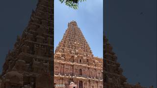 🪔Thanjavur Big Temple 🧐People are taking it for granted #shortsfeed #food #travelingfoodie #shorts