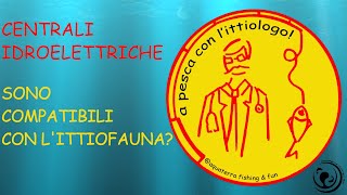 Ittiocompatibilità delle centrali idroelettriche 👨🏻‍⚕️ "a pesca con l'ittiologo"