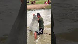 Real Life 100% Net Fishing In River At The Countryside.(Episode 94)