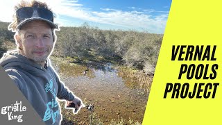 The Vernal Pool Project