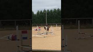 Fun grid from todays lesson #horse #horselover #equestrian #horsebackriding #edit