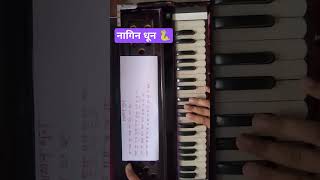 Nagin dhun on Harmonium | नागीण धून 🐍