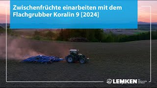 Zwischenfrüchte einarbeiten mit dem Flachgrubber Koralin 9 [2024]