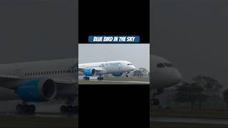 Air Tanzania 🇹🇿 The Blue Bird in the Sky Takeoff in and out #shorts