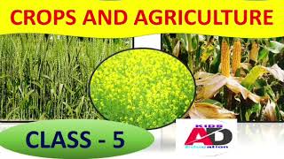 Class 5 | crops and agriculture |cbse| ncert|