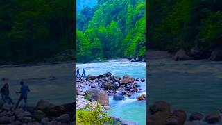 #shortsvideo #vlog #travel #shortsvideo #vlog #fun #nature #tista #river #naturelovers #tree