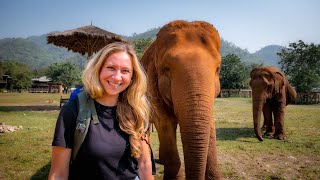 Wir fahren zum BESTEN Elefantenpark in Thailand! | Vlog 07 | Elefant Nature Park Chiang Mai