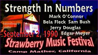 Strength In Numbers Strawberry Music Festival Camp Mather, California September 2, 1990 (FM audio)