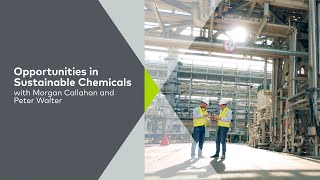 Opportunities in Sustainable Chemicals