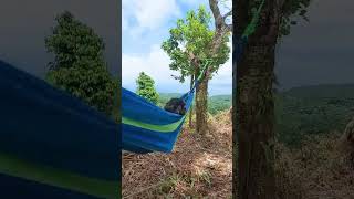 chillax #camping #camper #shortvideo #dogshorts #realquezon #shihtzu