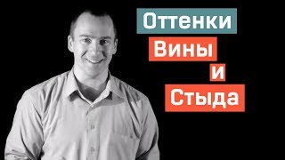 Оттенки Вины и Стыда