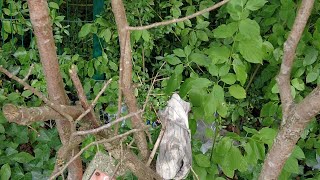 I Found So Much Rubbish In This Woods & Dried Up Pond!