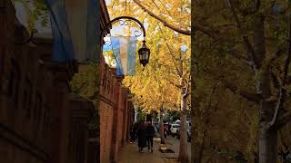 La Magia del Otoño, Buenos Aires #shorts