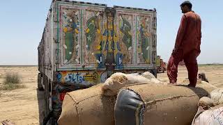 SZH NORTHERN BYPASS MANDI KARACHI 2ND 3RD TROLLER JANWAR UNLOADING SEASON EID UL ADHA 2024 SAK BAHI