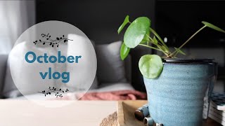 Ina Knits -  October vlog