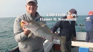 Onboard Series Cod fishing on Flamer IV with Allan Yates from seabooms.com