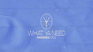 What Ya Need - Minimix 001