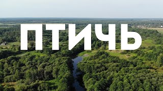 Сплав по р. Птичь. Медитативное видео. Птичь VALIDOL