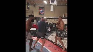 Sean Strickland sparring 2 MMA Fighters at the same time