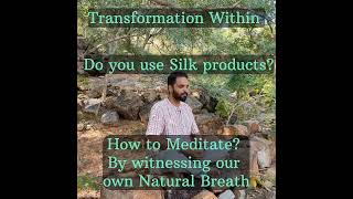 Watch this before you buy Silk Products #silk #silksaree