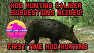 1st Hog Hunting Gun Setup Ideas Needed! 💥💥💥