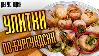 Виноградные УЛИТКИ по БУРГУНДСКИ | Дегустация | Пробуем в первый раз