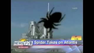 WRDW likes Spiders! Newsroom Bloopers!