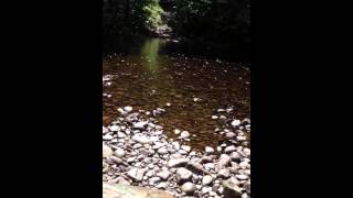 Batchewana River Crossing #1