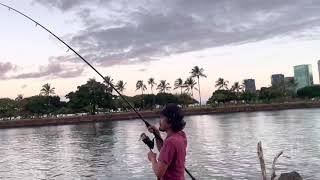 Kato getting some morning omeliu action #hawaii #fishing