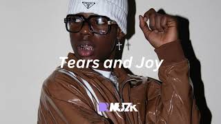 Afrobeat Instrumental 2023 Rema X Omah Lay X Buju Typebeat - Tears and Joy