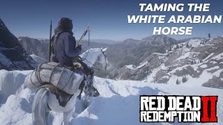 Taming The White Arabian Horse - Red Dead redemption 2