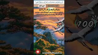 سورہ نساء کی آیات 64 تا 66 کا ترجمہ 100# اپنی زندگی میں عملی طور پر قرآنی تعلیمات سے استفادہ کریں۔