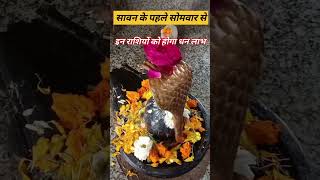 सावन के पहले सोमवार से ही होगा इन राशियों को.... हर हर महादेव 🙏🏻#harharmahadev #rashifal