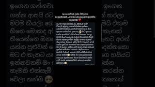 Whatsapp මගින් ඩීටේල්ස් ගන්න0702413148❤️ #love #duetversion #whatsappstatus #song #duetsong #loveson