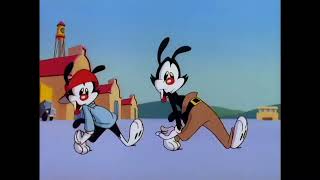 Yakko And Wakko Phonk Walk